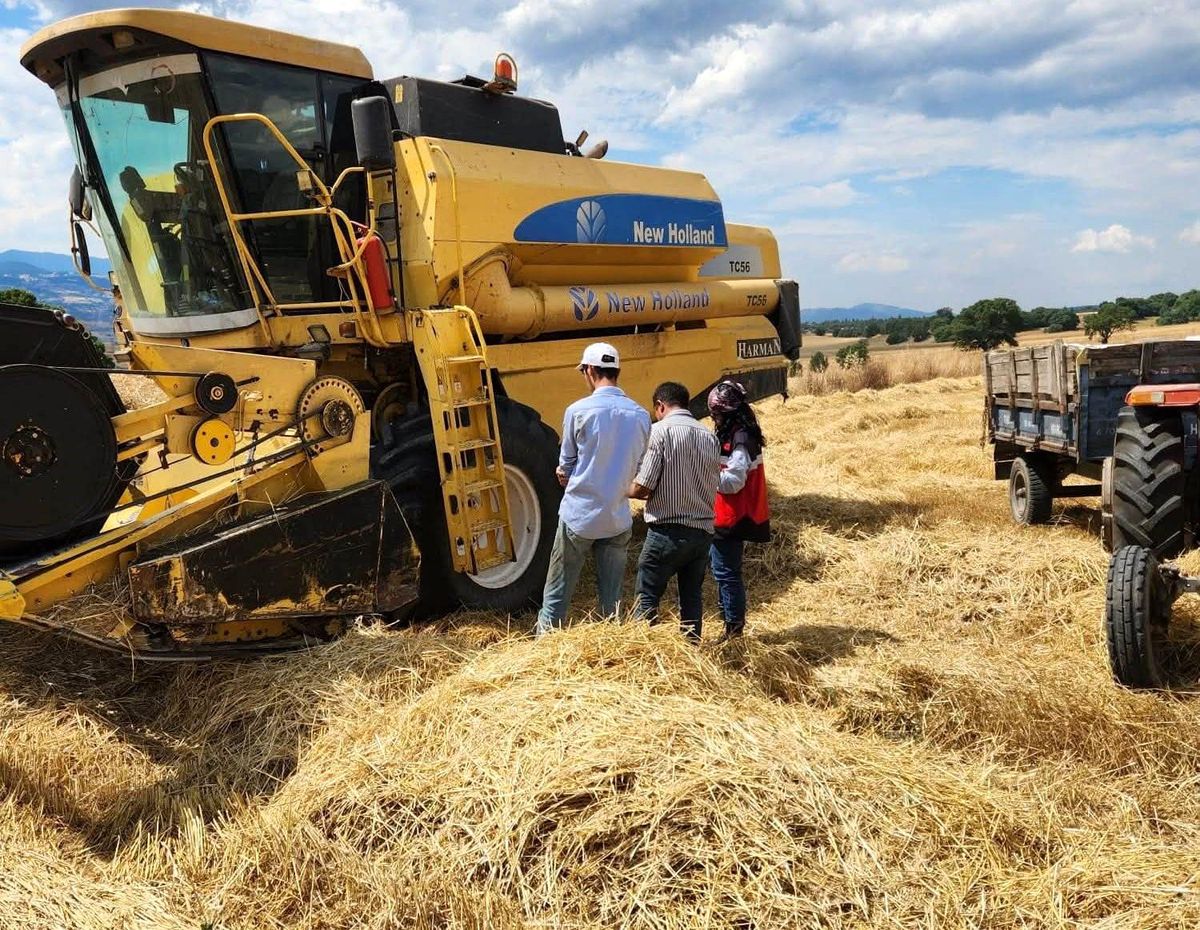 Hisarcık'ta hasat sezonunda biçerdöver denetimi yapılıyor.