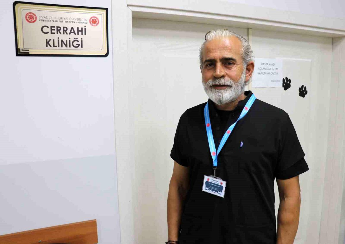 Kangal, çoban gelene kadar kırsalda doğan kuzuya kendi yavrusu gibi sahip çıktı