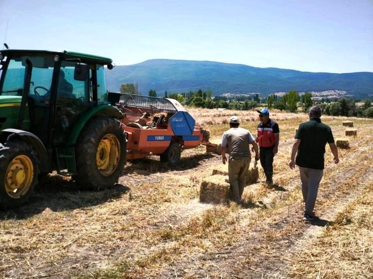 Kütahya Köprüören köyünde yem bezelyesi demonstrasyonunda hasat tamamlandı