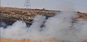 Şırnak'ta Ziraat Fakültesi bahçesinde başlayıp çevreye yayılan anız yangını söndürüldü