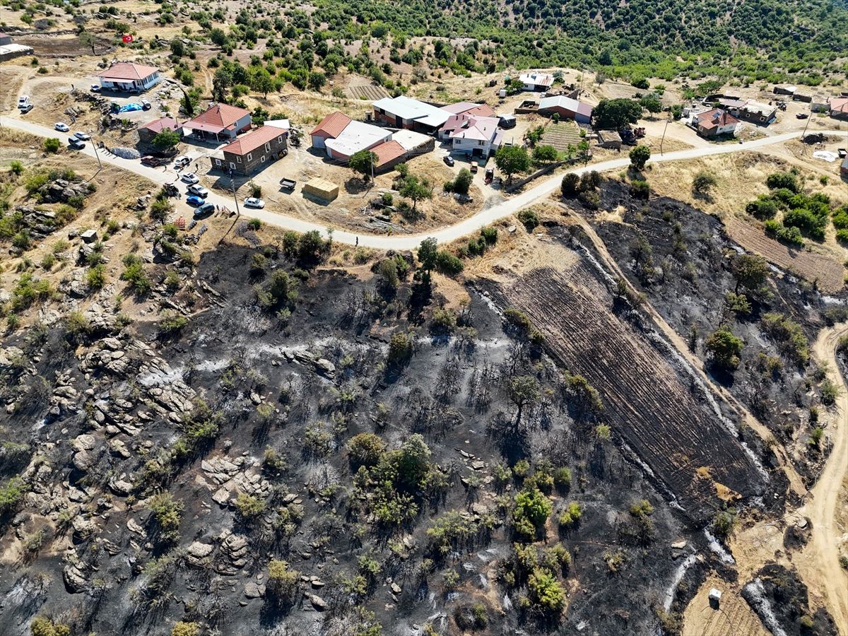 Uşak'ta otluk alanda başlayıp makiliğe sıçrayan yangın kontrol altına alındı