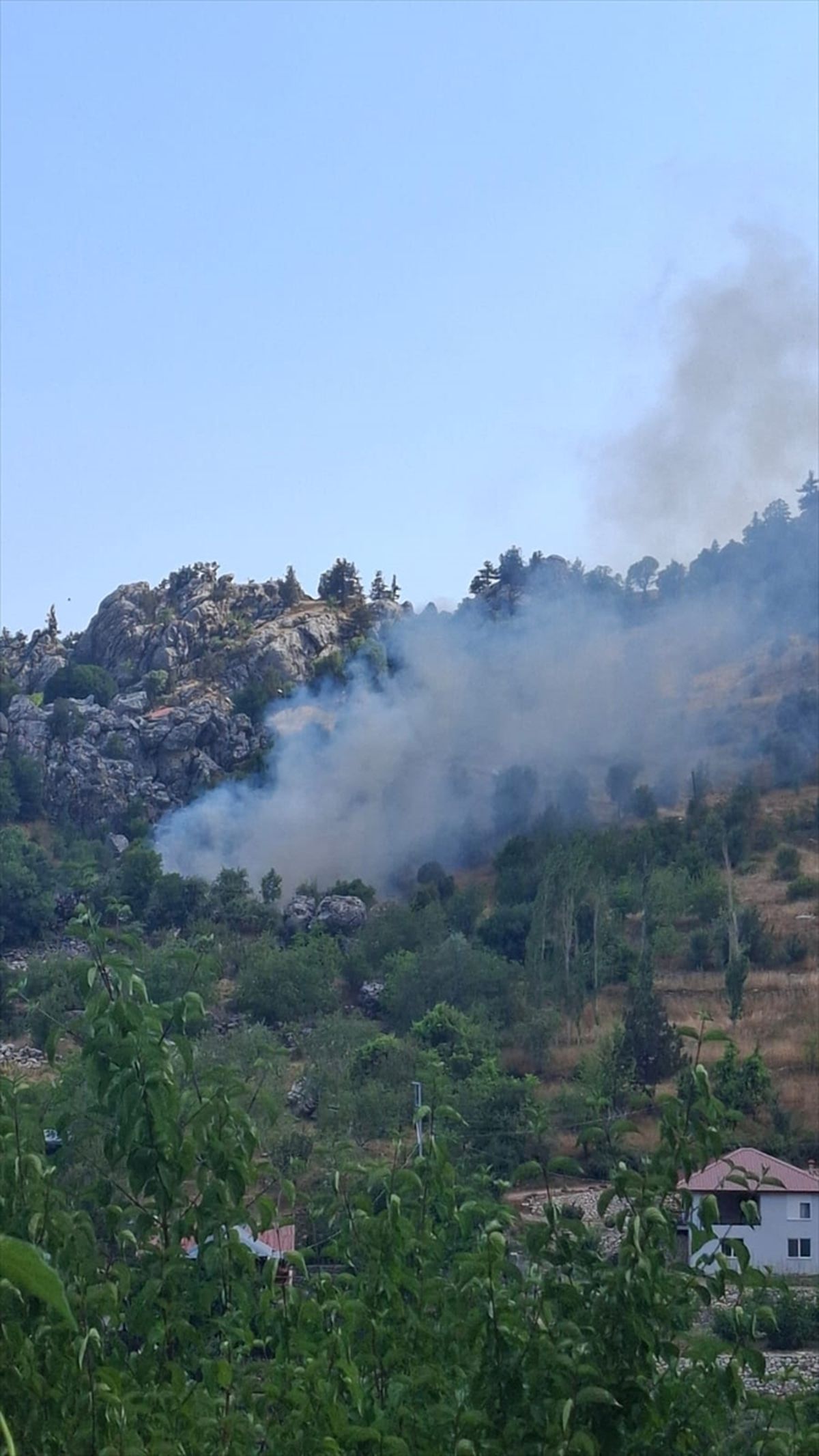 Alanya'da zirai alanda çıkan yangın söndürüldü