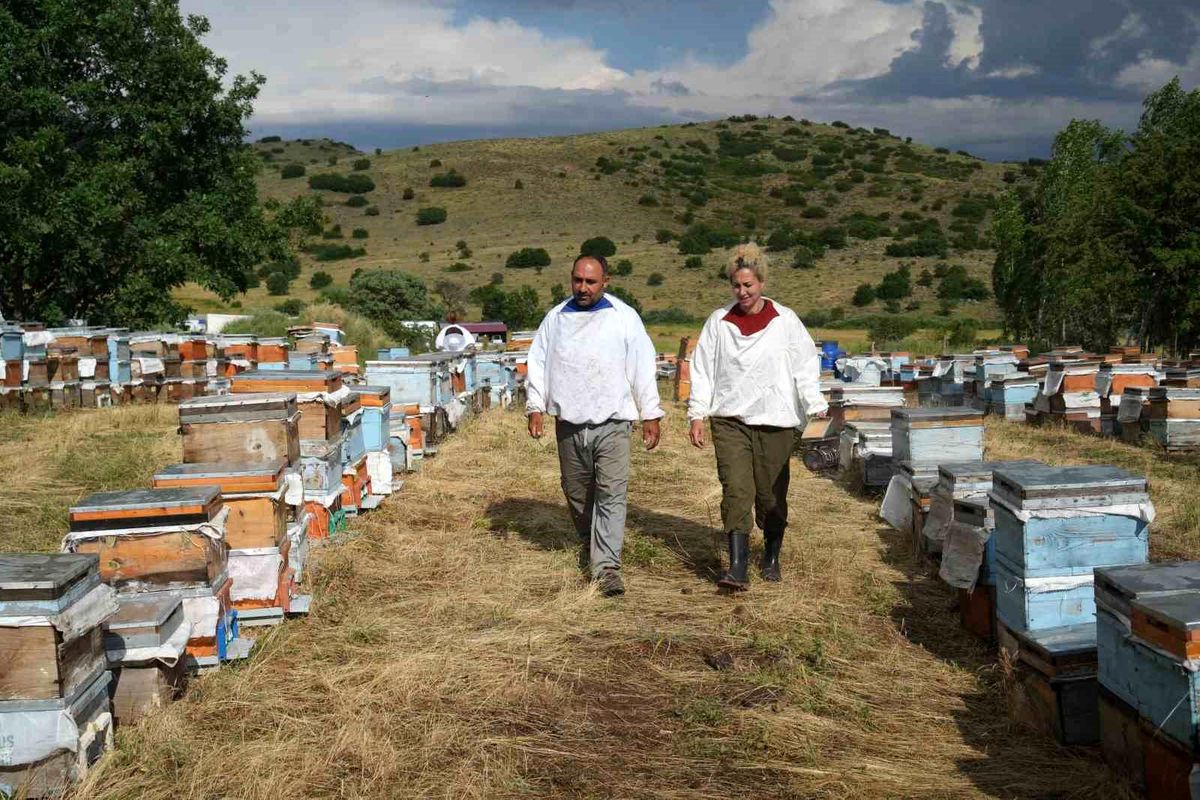 Arıların izinde bir ömür: Karavan desteği gezgin arıcı aileye nefes oldu