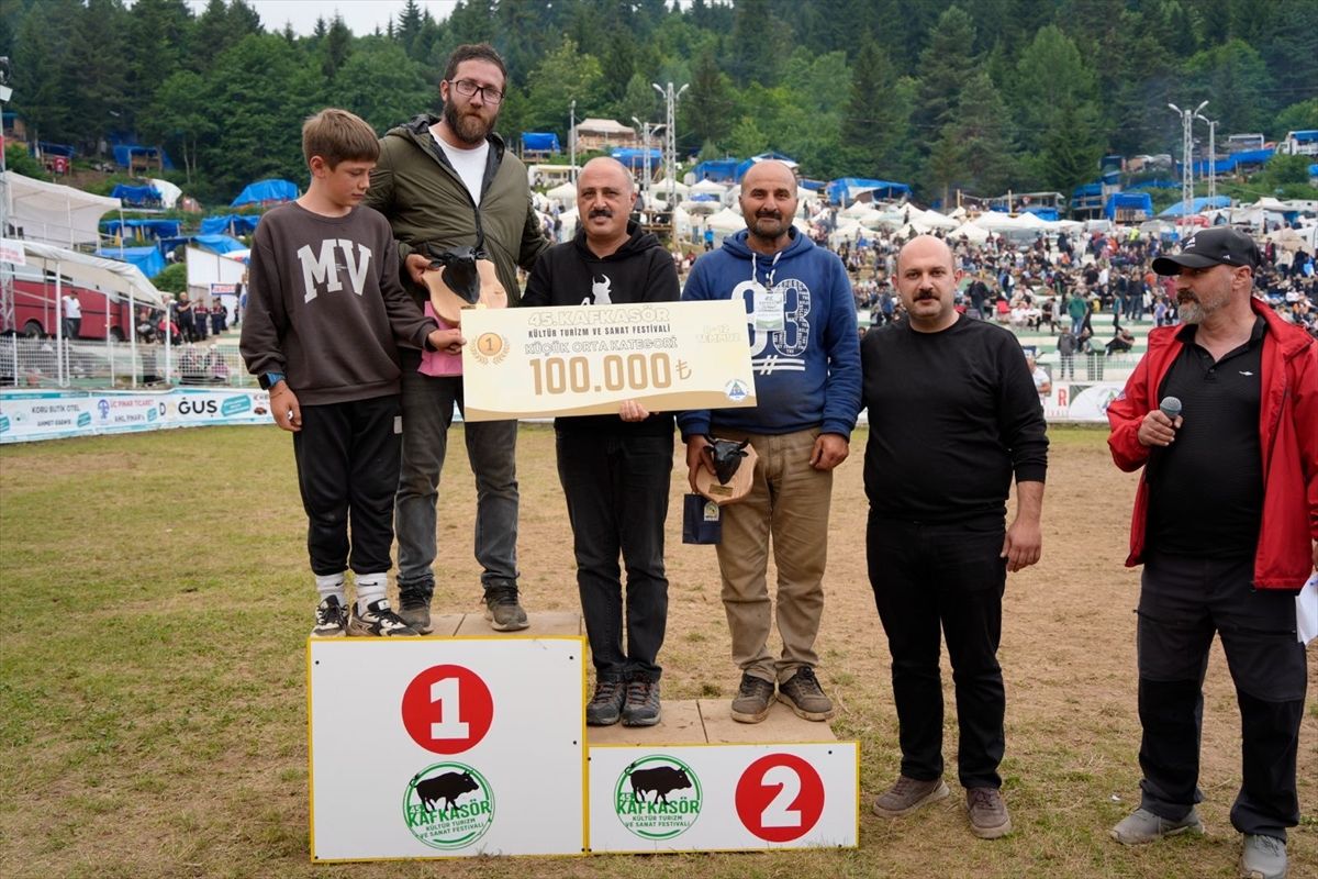 Artvin'de '45. Kafkasör Kültür, Turizm ve Sanat Festivali' boğa güreşleriyle sürdü