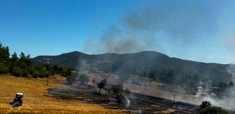 Balıkesir'in 3 ilçesinde çıkan arazi yangınlarına müdahale ediliyor