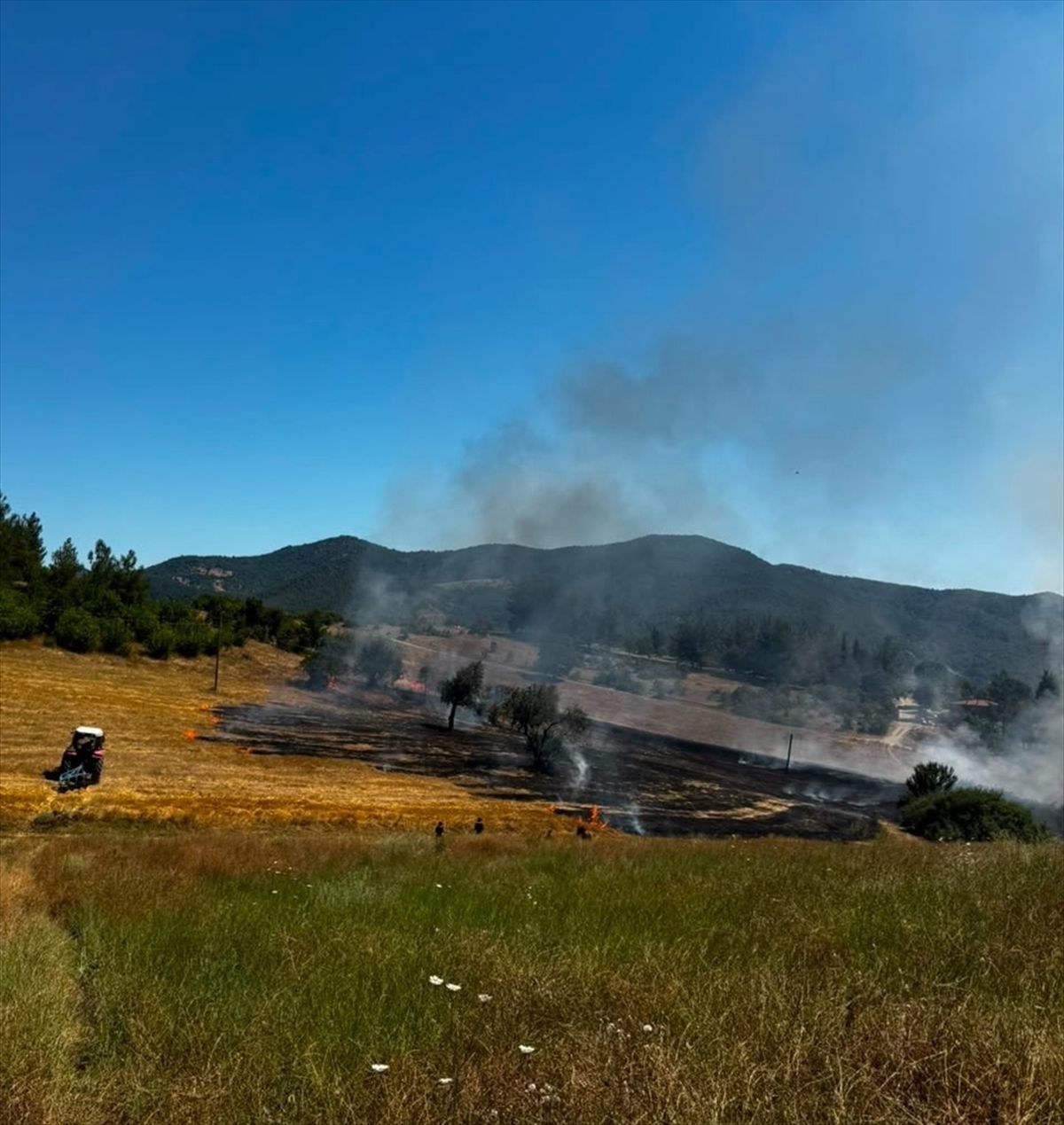 Balıkesir'in 3 ilçesinde çıkan arazi yangınlarına müdahale ediliyor
