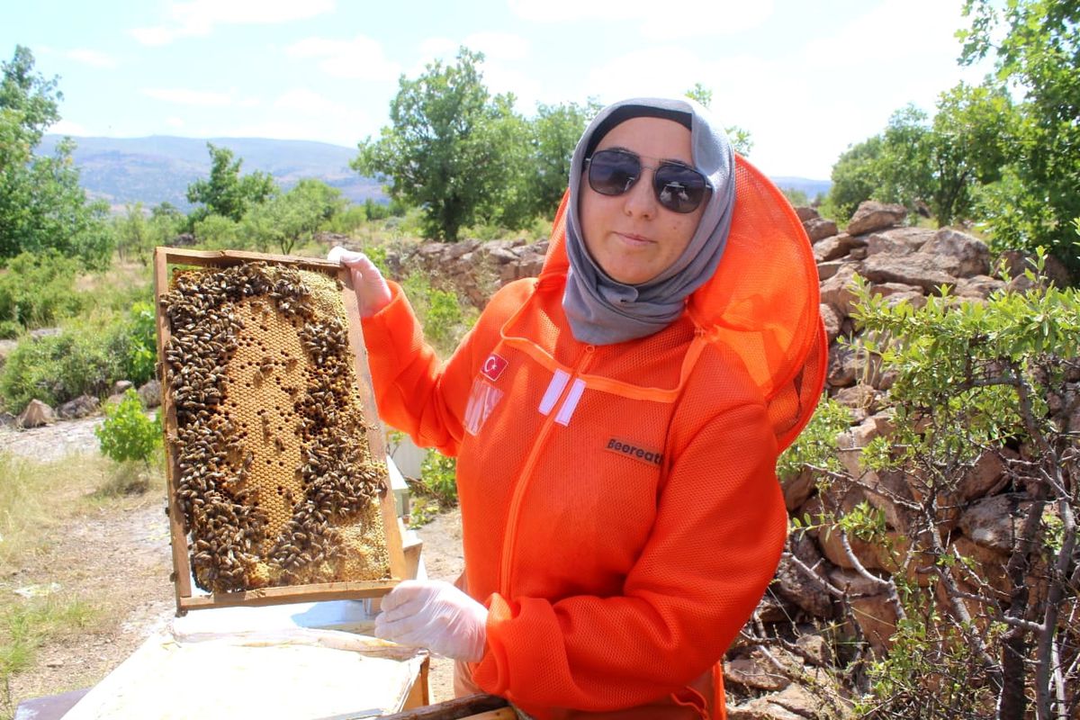 Kalp ve kanser hastası Zehra Kocabaş, arı zehrinin şifasına inanarak arıcılığa başladı