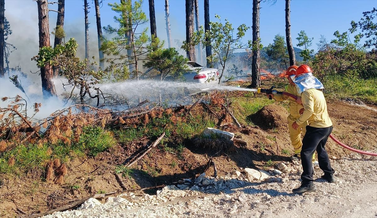 Karabük'te ormanlık alandaki otomobil yandı