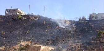 Siirt'te otluk alanda çıkan yangın söndürüldü