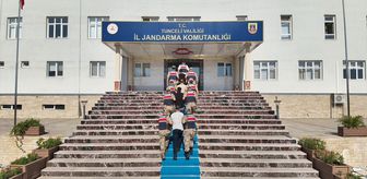 Tunceli merkezli 'yatırım danışmanlığı dolandırıcılığı' operasyonunda 11 zanlı tutuklandı