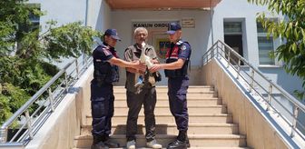 Yozgat'ta yaralı leyleği jandarma kurtardı