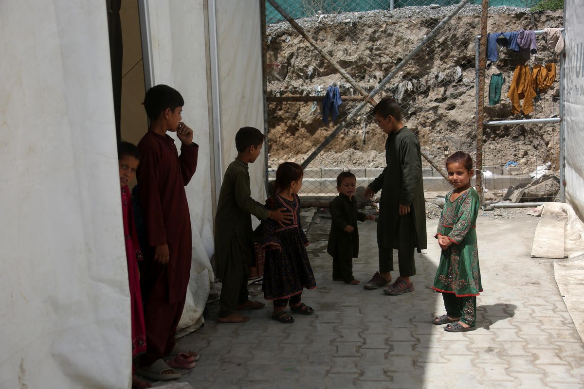 Afganistan'da nüfus sayımını gösteren bir görsel.