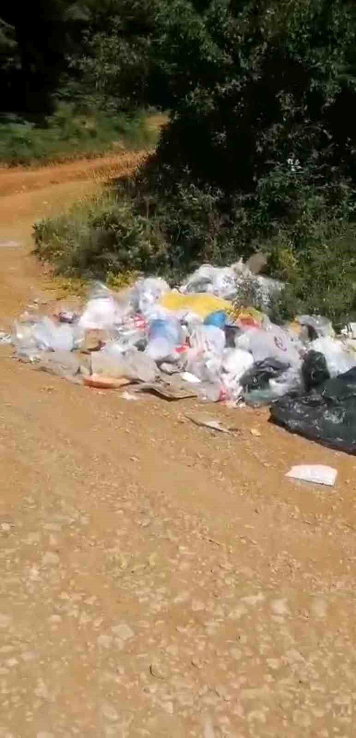 Bolu Karamanlı Gölü kenarında biriken çöpler.