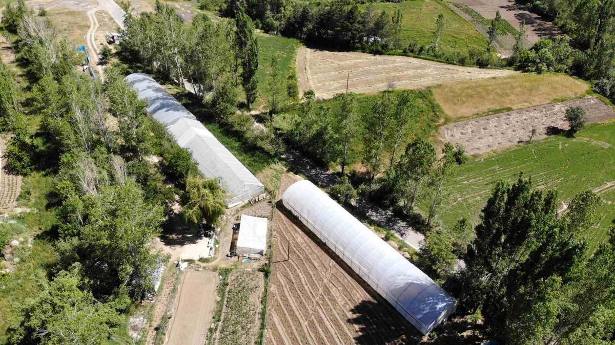 Bayburt'ta yüzde 70 hibeli sera projesi için başvurular yarın başlıyor