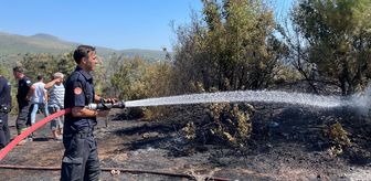 Bodrum'da makilik alanda çıkan yangın söndürüldü