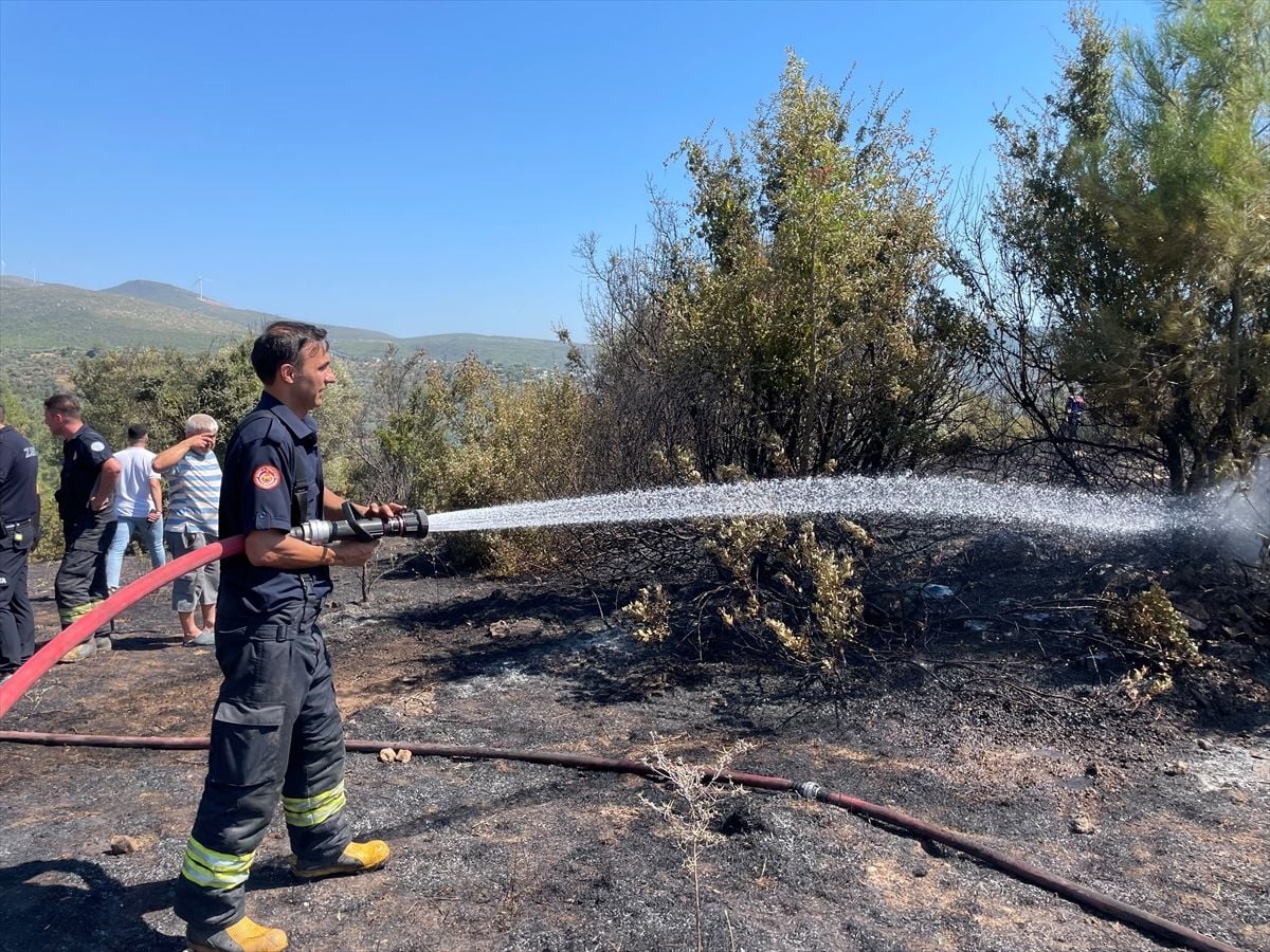 Bodrum'da makilik alanda çıkan yangın söndürüldü