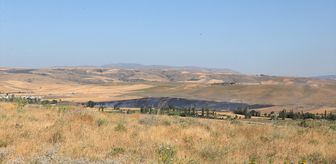 Çorum'da çıkan yangında yaklaşık 250 dekar tarım arazisi zarar gördü