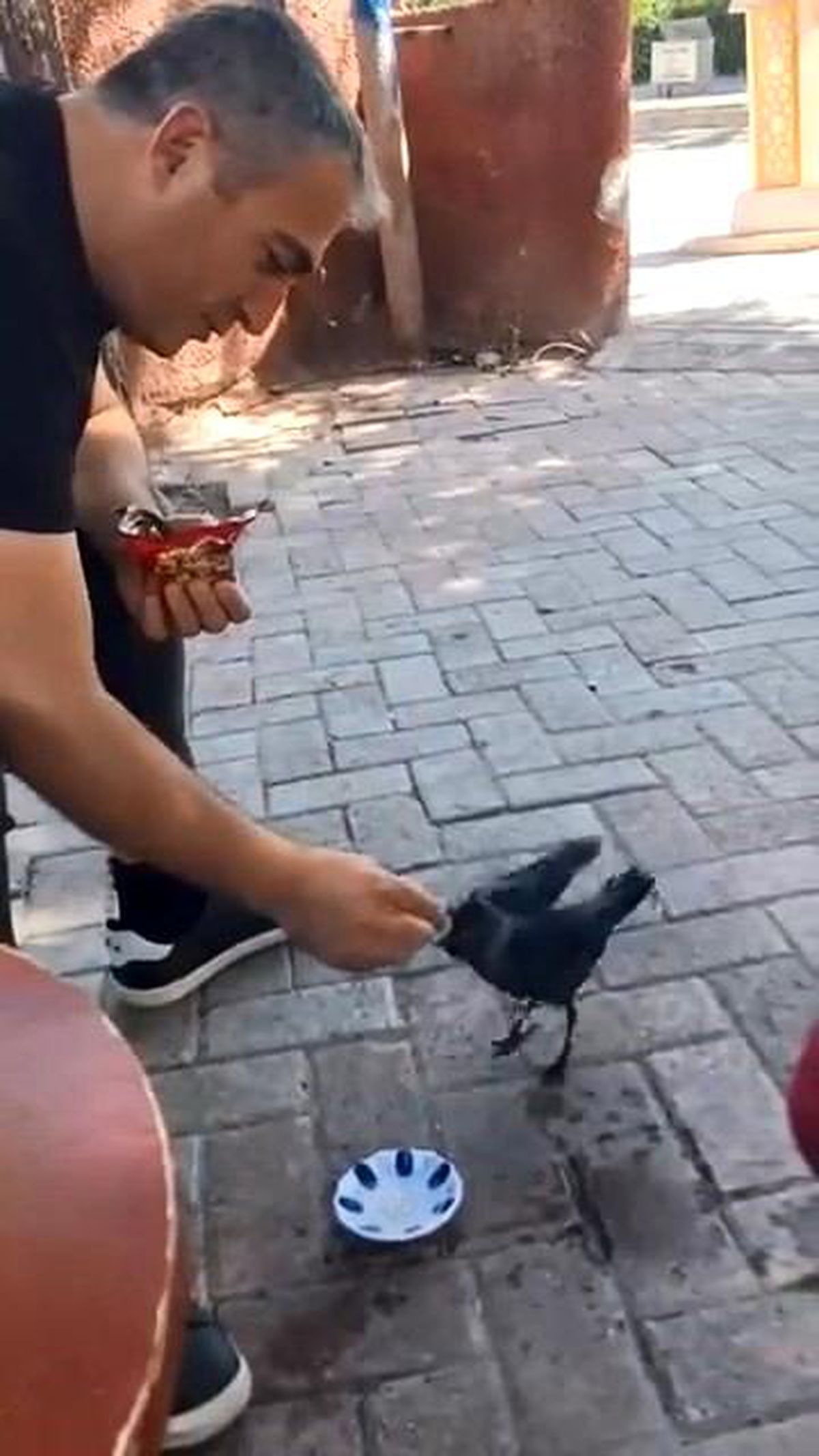 Elazığ'da bir vatandaş, kargayı elleriyle besledi
