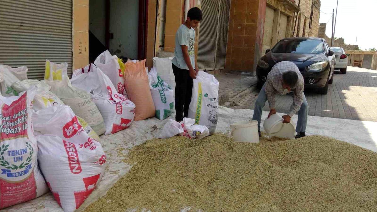 Gercüş'te bereketli hasat: Çiftçinin yüzü güldü