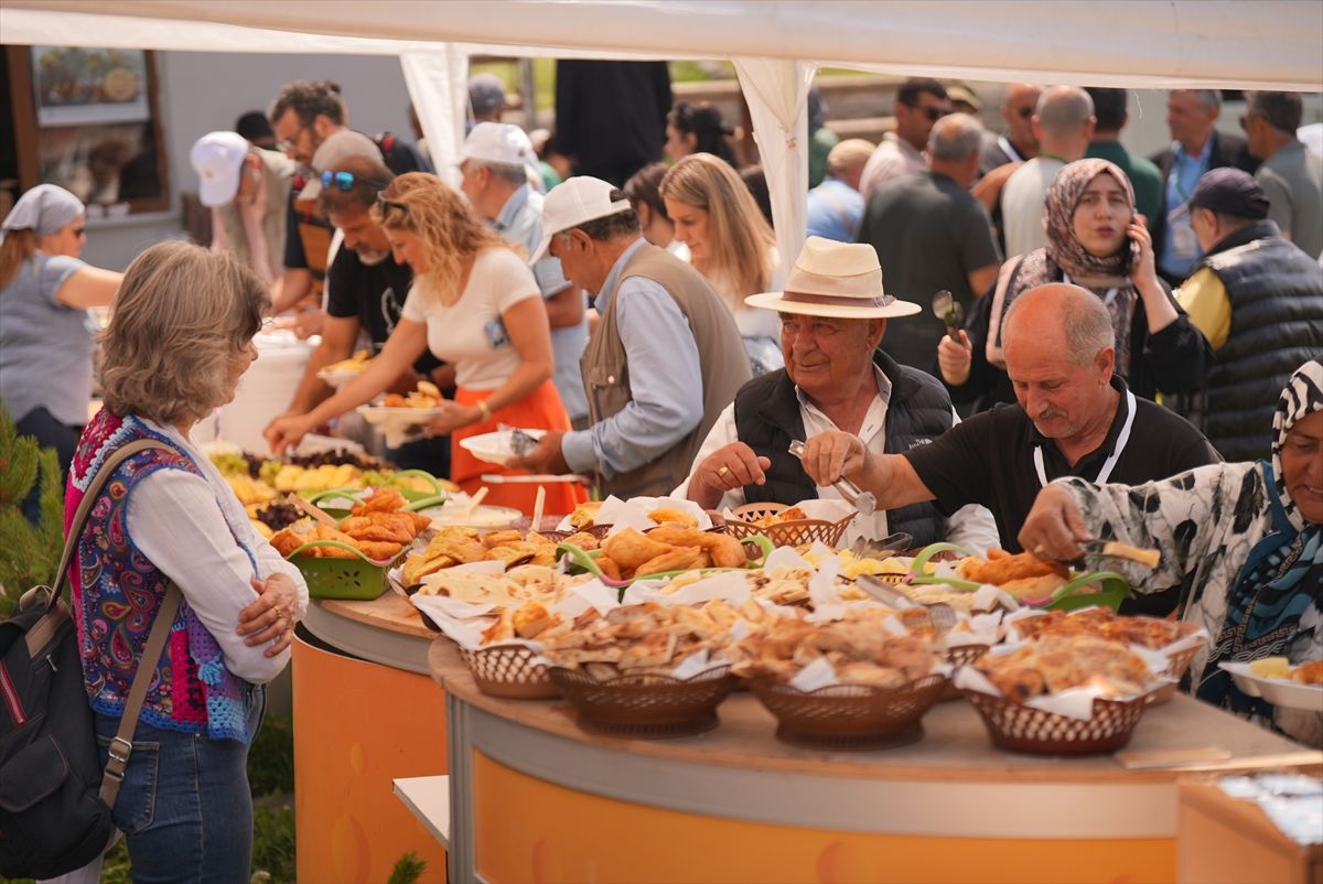 Kars'ta düzenlenen Uluslararası Gastronomi Film Festivali'nden bir görüntü.
