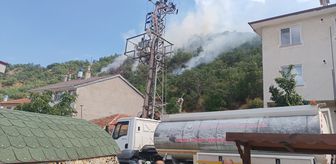 Kastamonu'da çıkan orman yangınına müdahale ediliyor