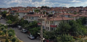 Kastamonu'da leylekler kent merkezini mesken tuttu