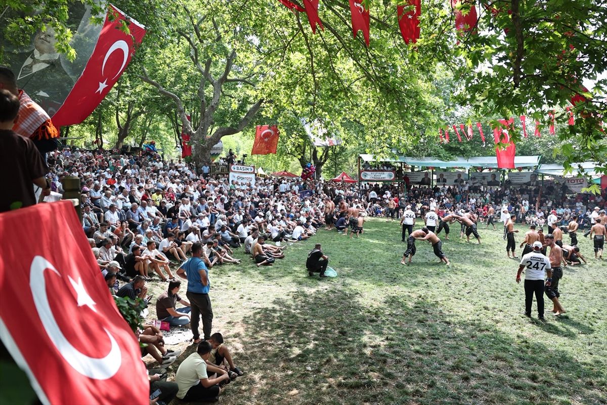 Menteşe Beşpınar Yağlı Güreşleri'nde başpehlivanlığı Erkan Taş kazandı