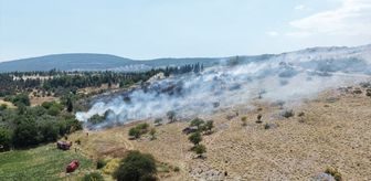 Muğla'da orman ve tarım alanında çıkan yangına müdahale ediliyor