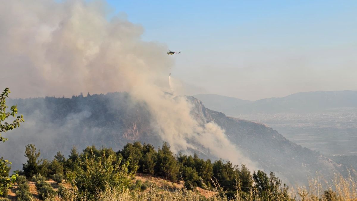 Denizli'nin Pamukkale ilçesinde travertenlere yaklaşan orman yangını.