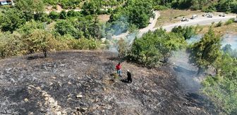 Adana'nın Feke ilçesinde çıkan orman yangını kontrol altında