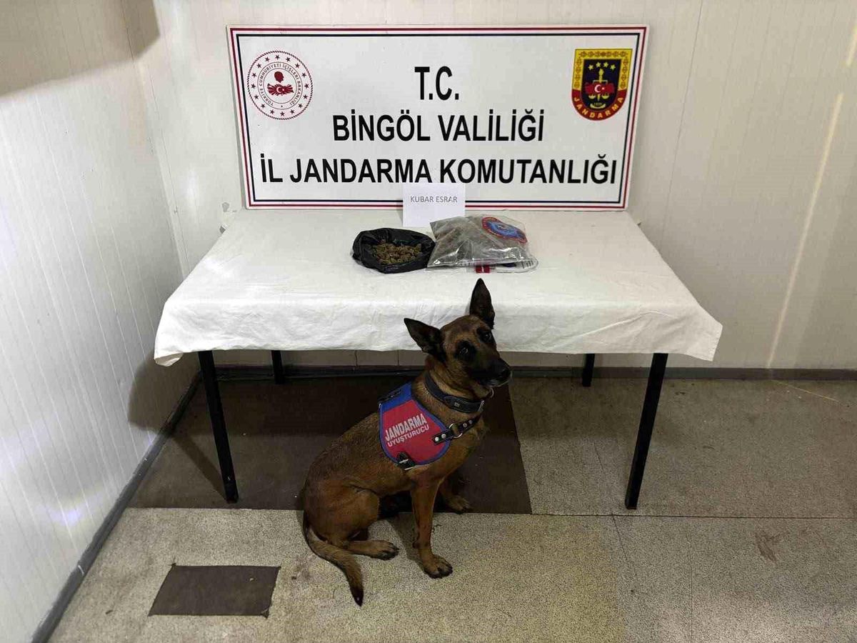 Bingöl'de haklarında kesinleşmiş hapis cezası bulunan 4 zanlı tutuklandı