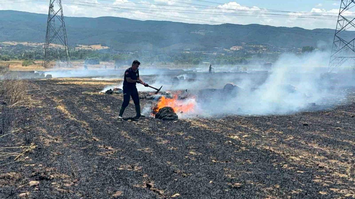 Çan'da tarım arazisinde çıkan yangın söndürüldü