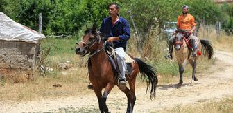 Dede yadigarı at yetiştiriciliğini şampiyonluklarla yaşatıyorlar