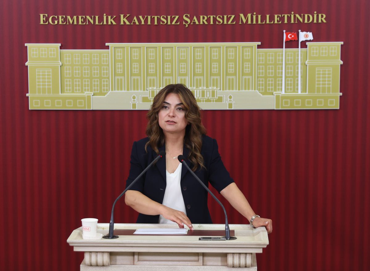 DEM Parti Grup Başkanvekili Gülistan Kılıç Koçyiğit konuşma yaparken