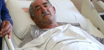 İzmir'den Kars'a gelen kişi ayı saldırısında yaralandı