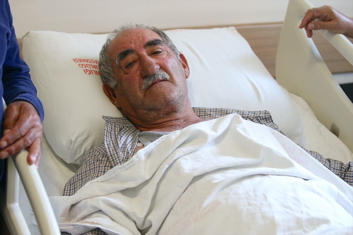 İzmir'den Kars'a gelen kişi ayı saldırısında yaralandı