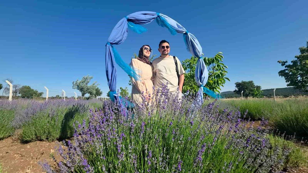 Kütahya'da lavanta bahçesi kırsal turizmin gözdesi oldu