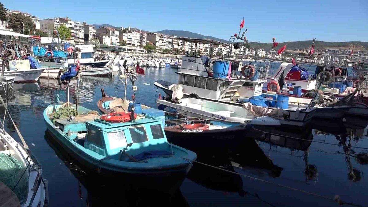 Marmara'nın emektar balıkçıları, müsilaj ve bilinçsiz avlanmadan şikayetçi