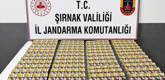 Şırnak'ta kaçakçılık ve asayiş operasyonlarında 112 şüpheli hakkında işlem yapıldı