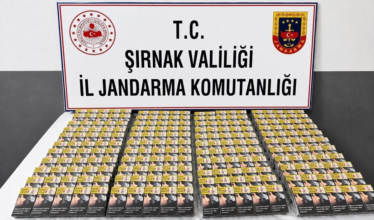 Şırnak'ta kaçakçılık ve asayiş operasyonlarında 112 şüpheli hakkında işlem yapıldı