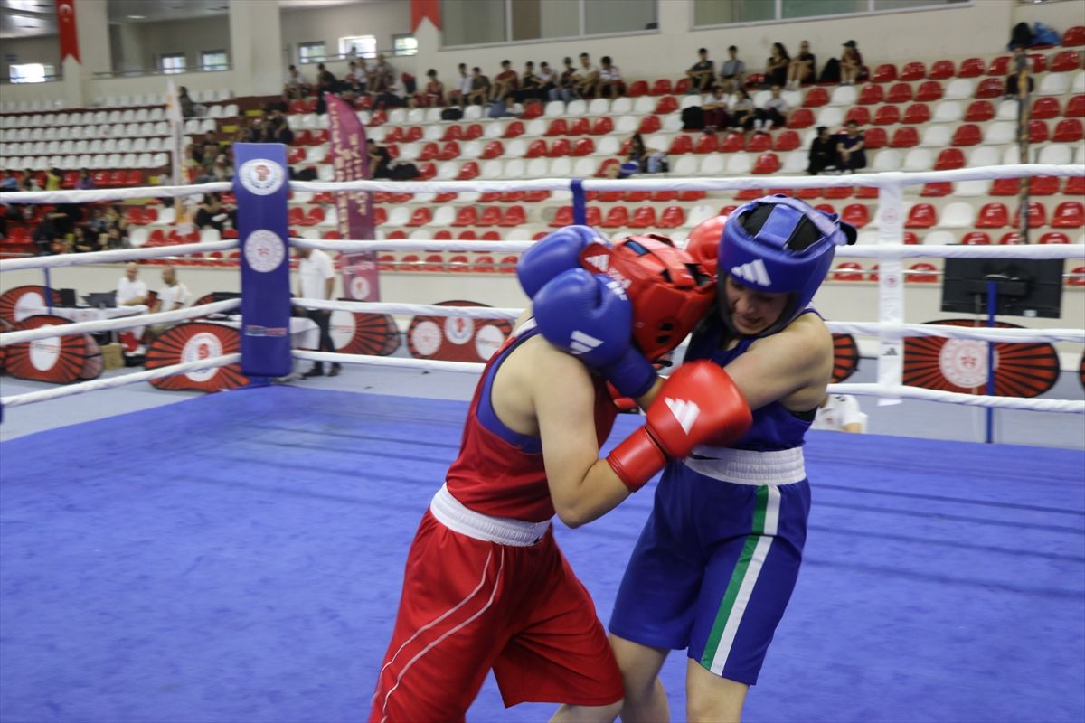 Türkiye Ferdi Boks Şampiyonası, Amasya'da başladı