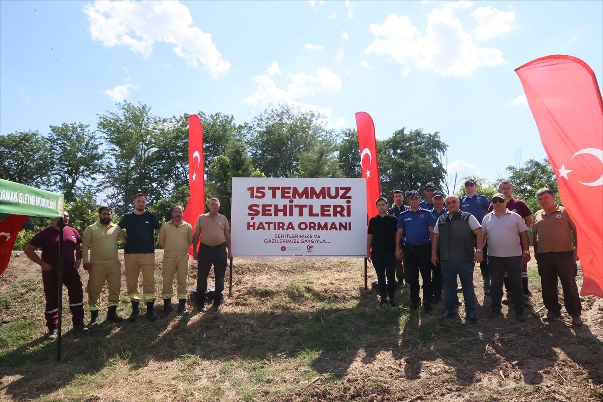 Edirne'de 15 Temmuz Hatıra Ormanı'na Bakım