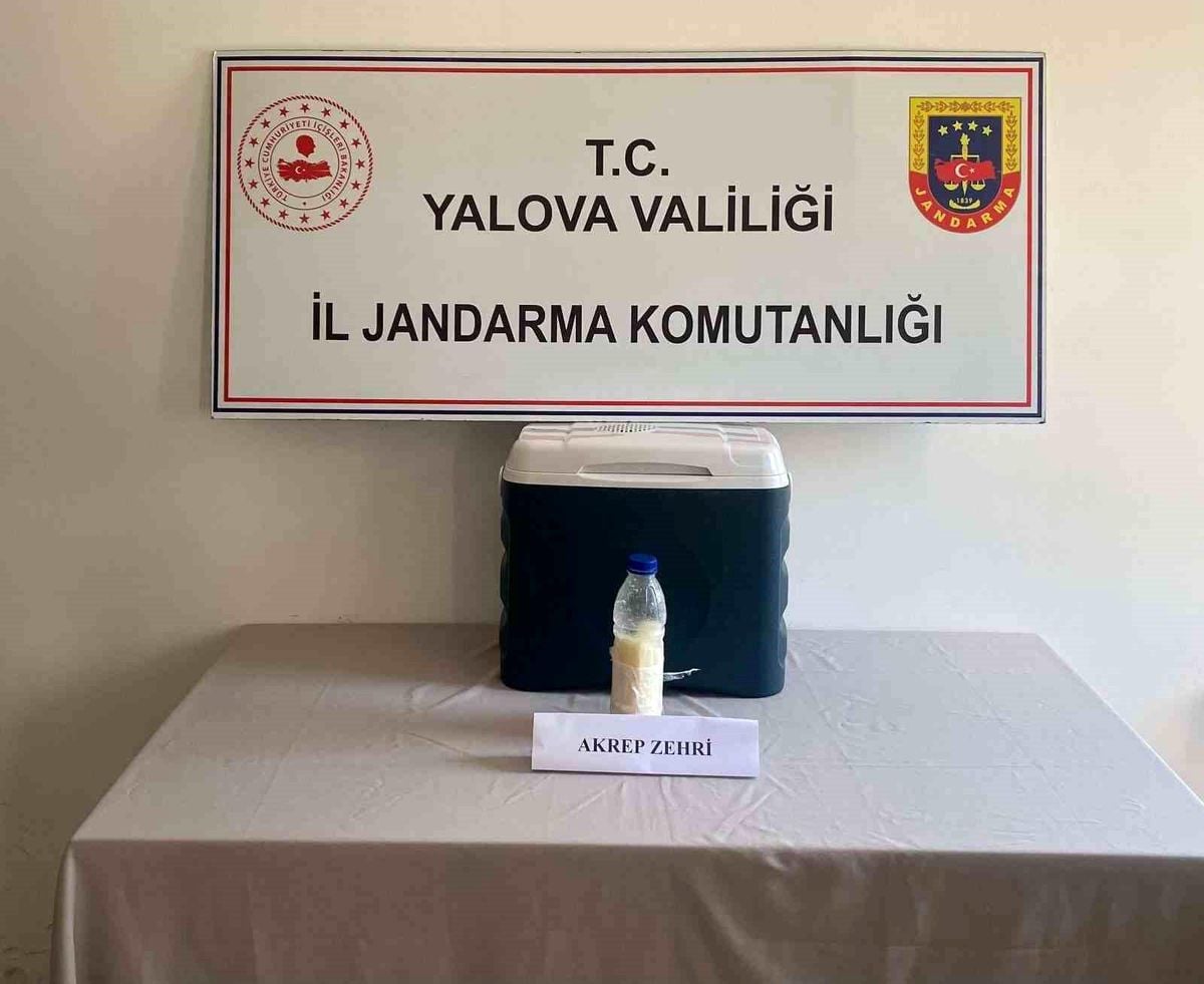 5 milyon dolarlık akrep zehri Yalova'da yakalandı