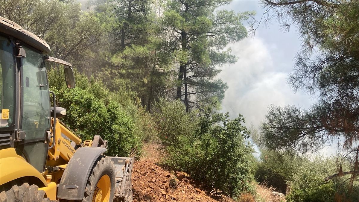 Bodrum'da çıkan orman yangını söndürüldü