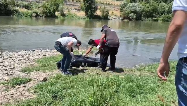 Male corpse found in Tigris River