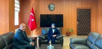 Edirne'den kısa kısa