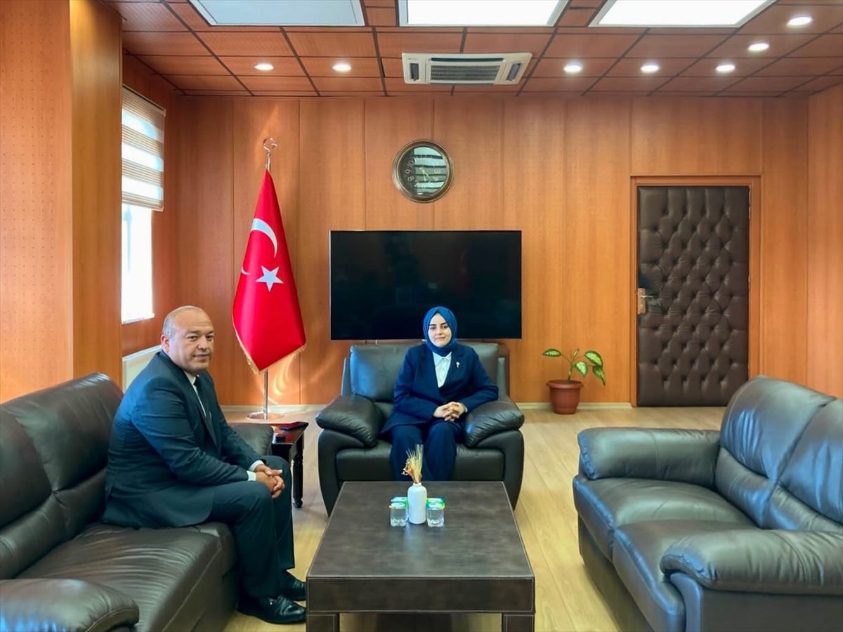 Edirne'den kısa kısa