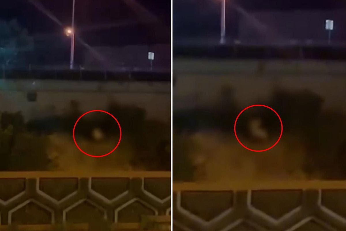 Görüntü Türkiye'den! Kimseye aldırmadan yol kenarında cinsel ilişkiye girdiler