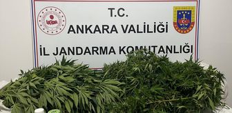 Haymana'daki uyuşturucu operasyonunda 1 şüpheli yakalandı