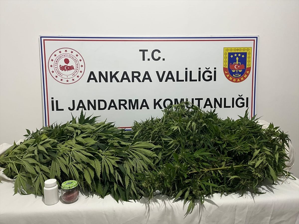 Haymana'daki uyuşturucu operasyonunda 1 şüpheli yakalandı